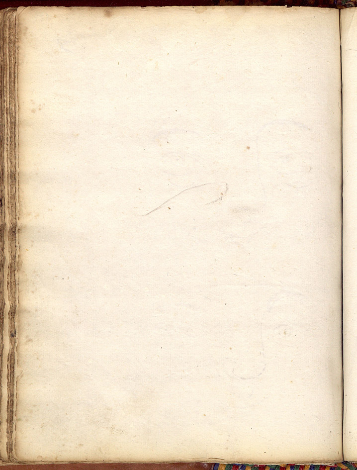 SR000341.JPG slide