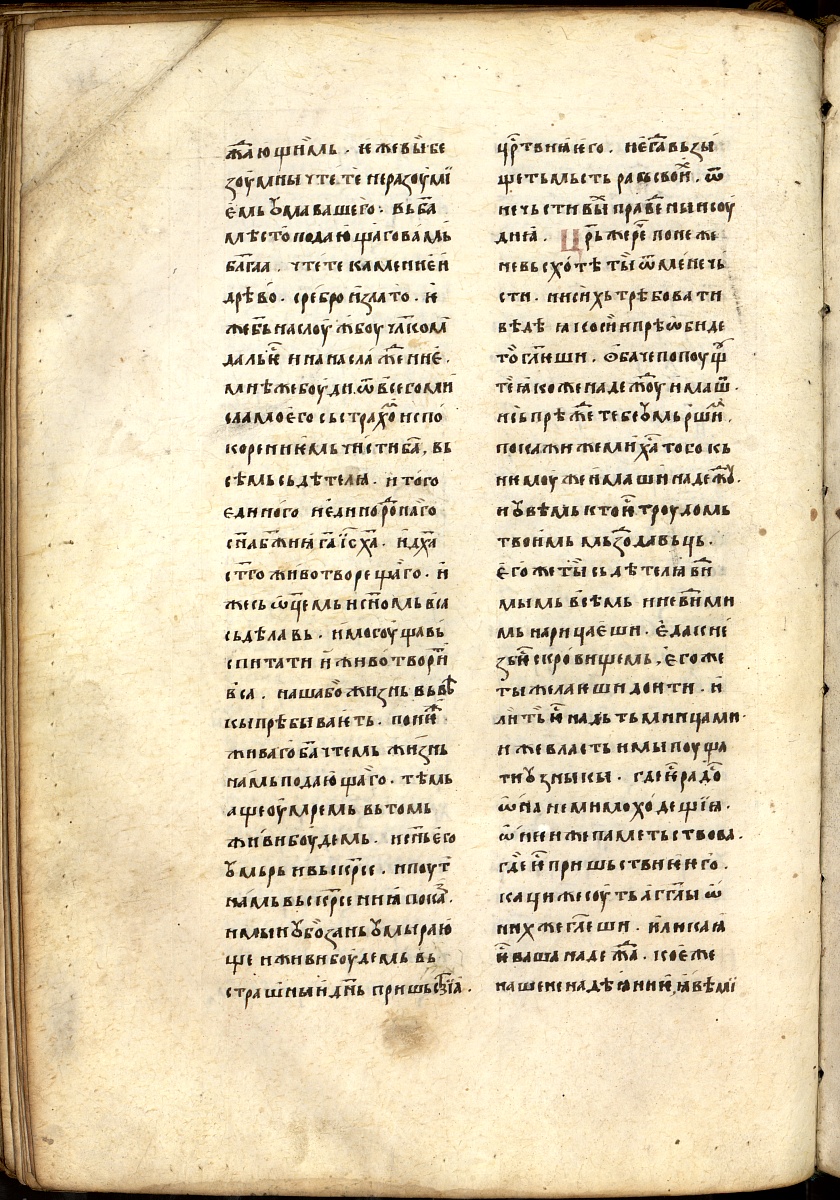 SR000261.JPG slide