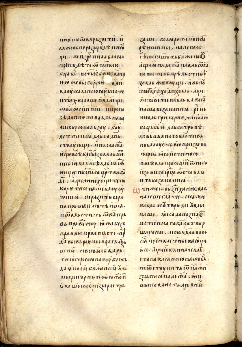 SR000299.JPG slide