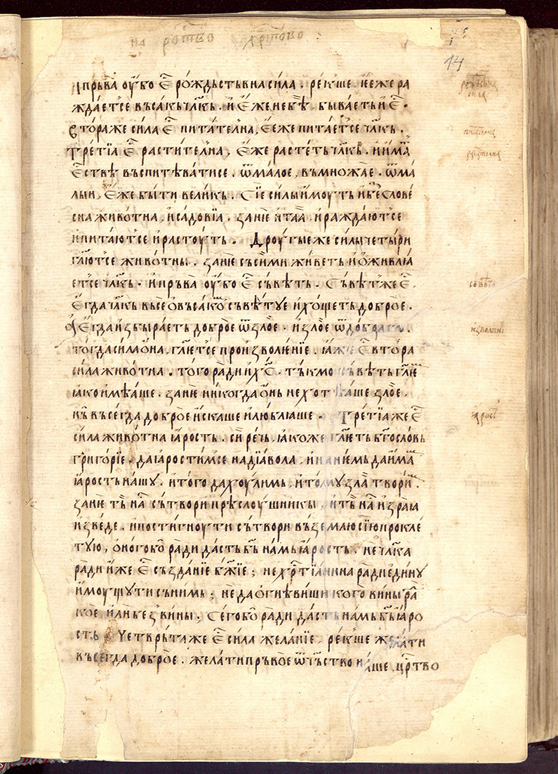 SR000030.JPG slide