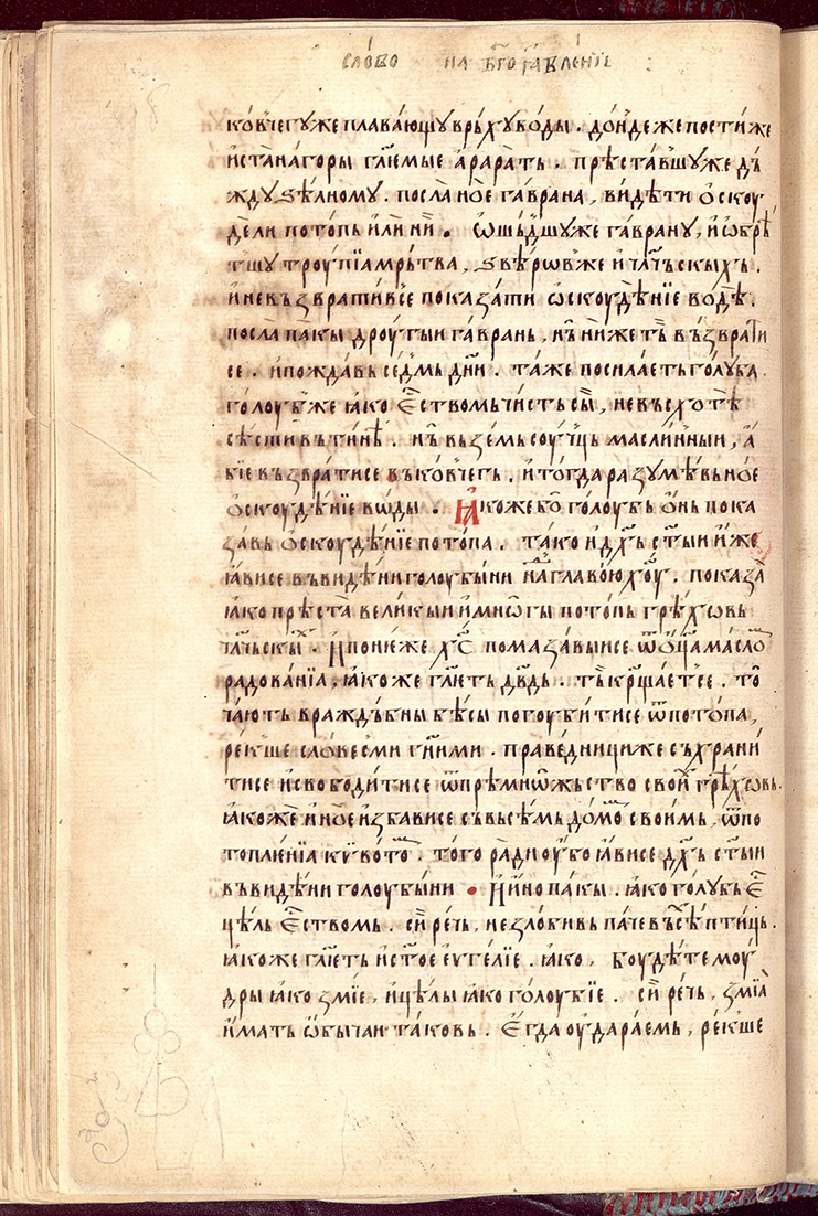 SR000081.JPG slide