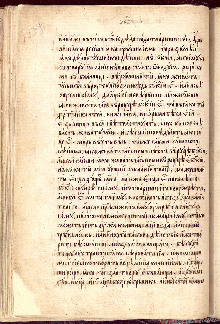 SR000117.JPG slide