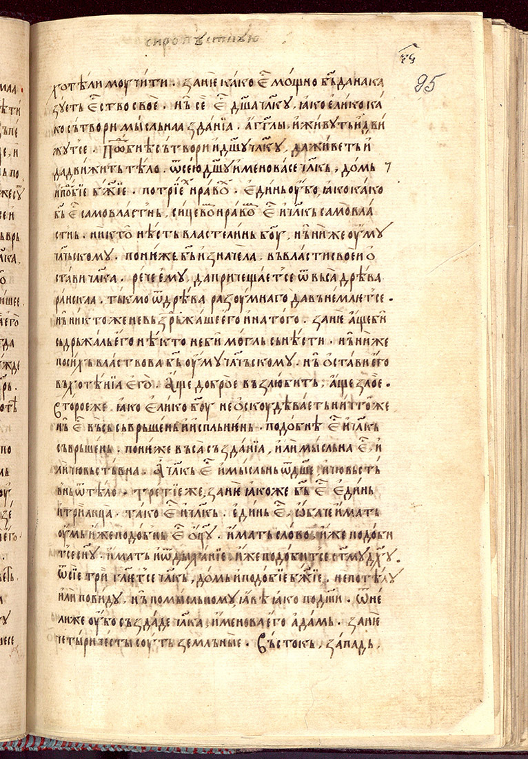 SR000192.JPG slide