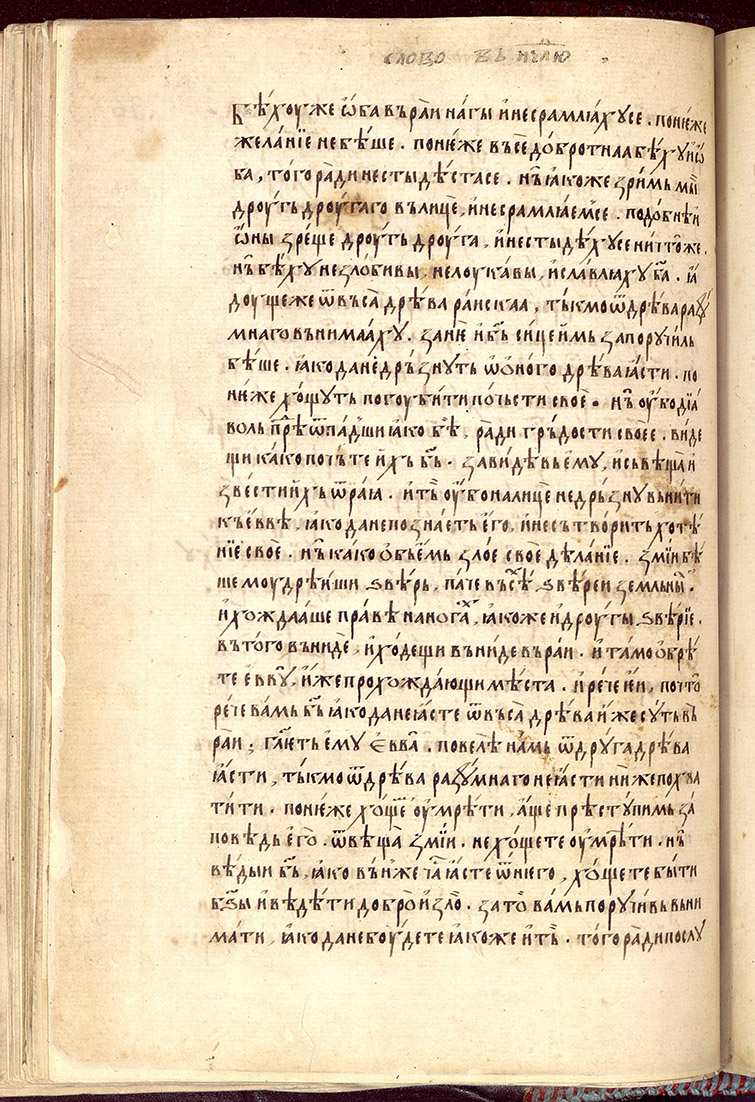 SR000195.JPG slide