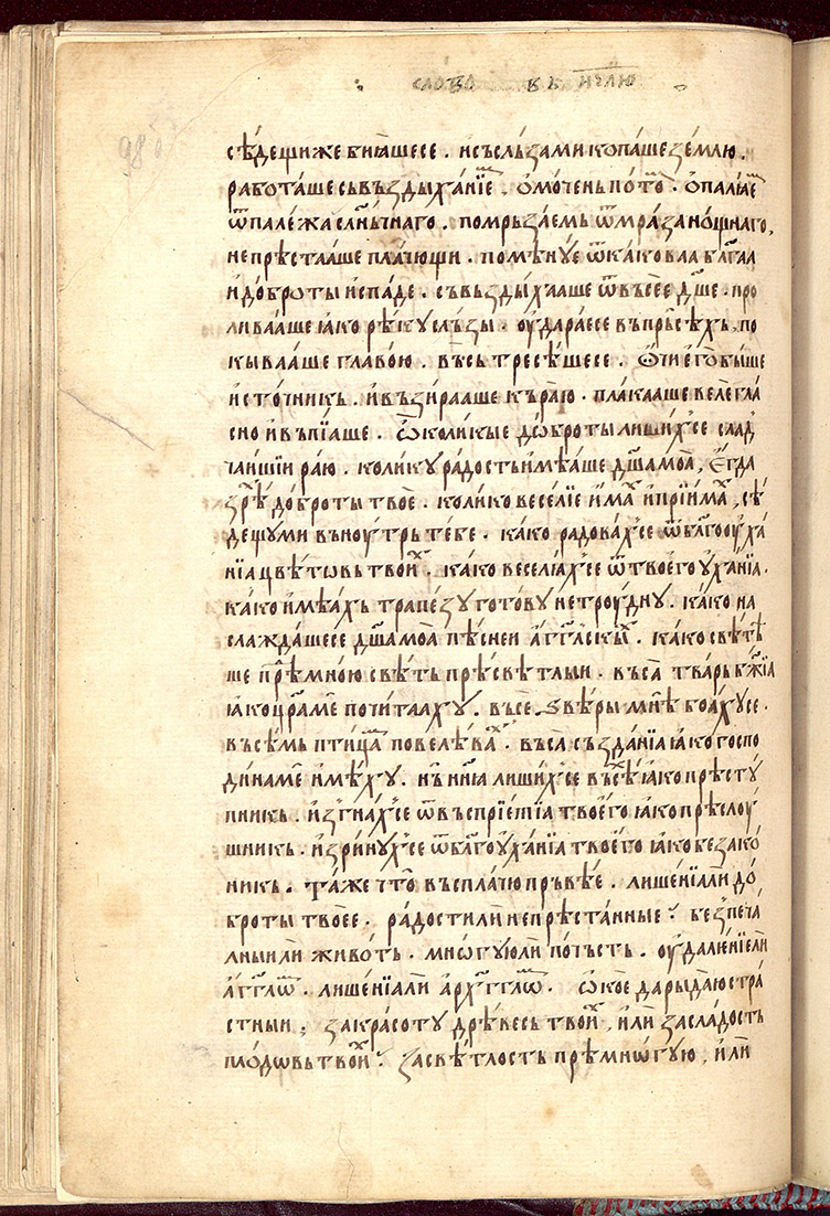 SR000199.JPG slide