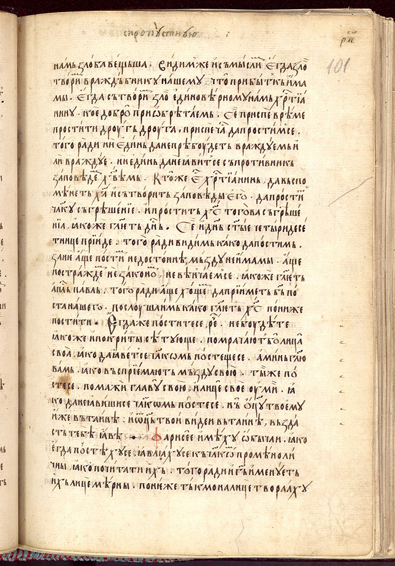 SR000204.JPG slide