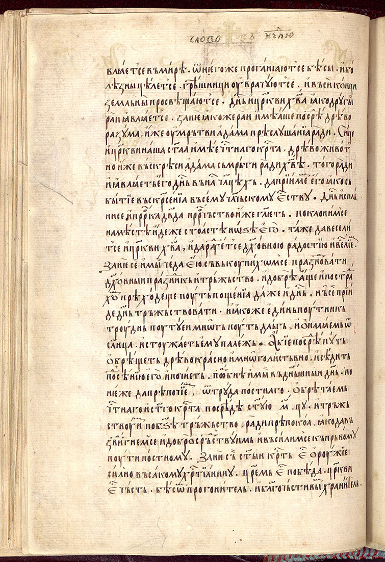 SR000209.JPG slide