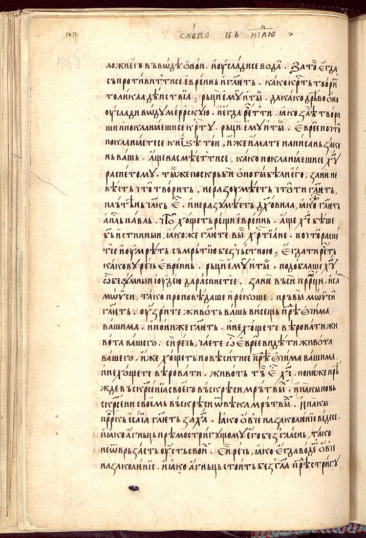 SR000215.JPG slide