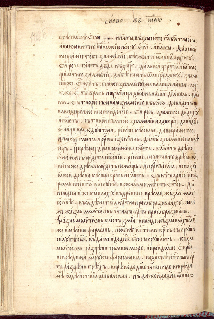 SR000217.JPG slide