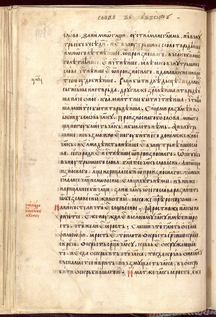 SR000221.JPG slide