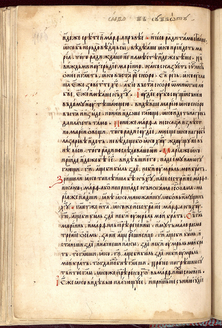 SR000239.JPG slide