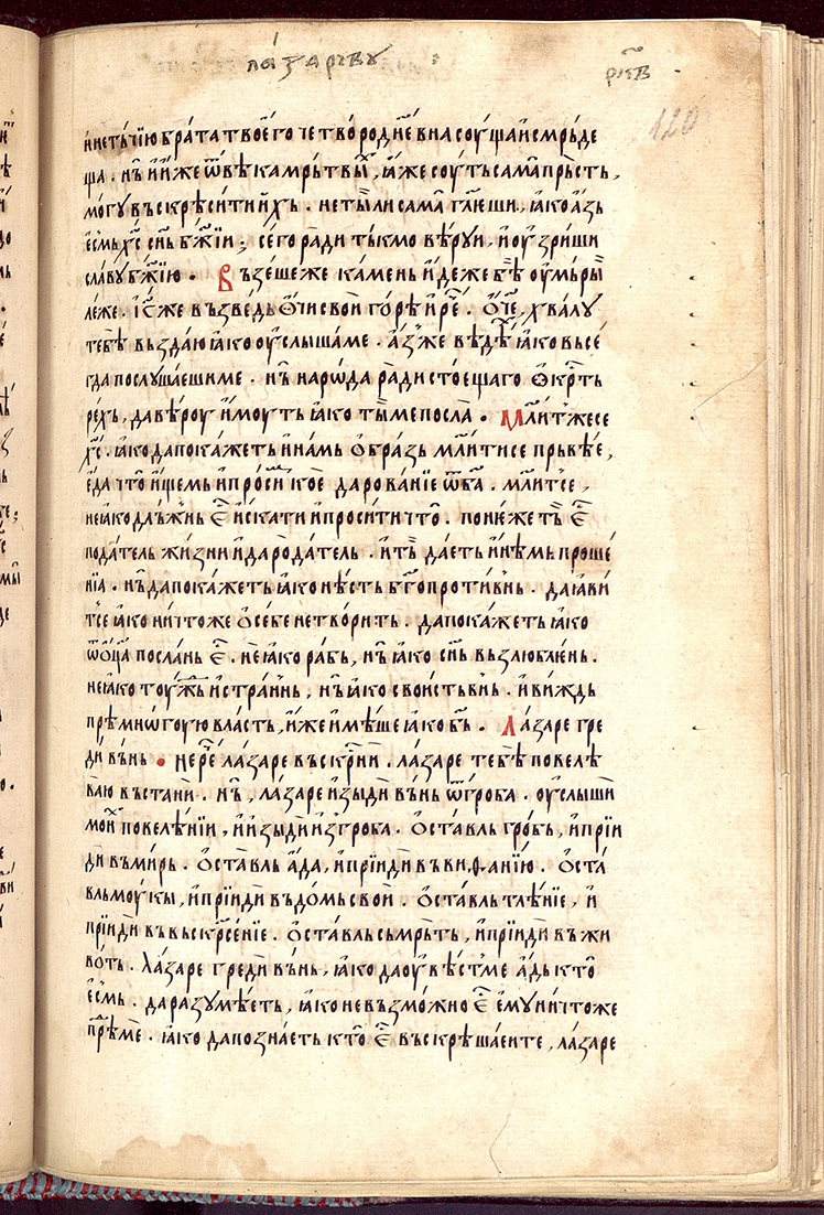 SR000242.JPG slide