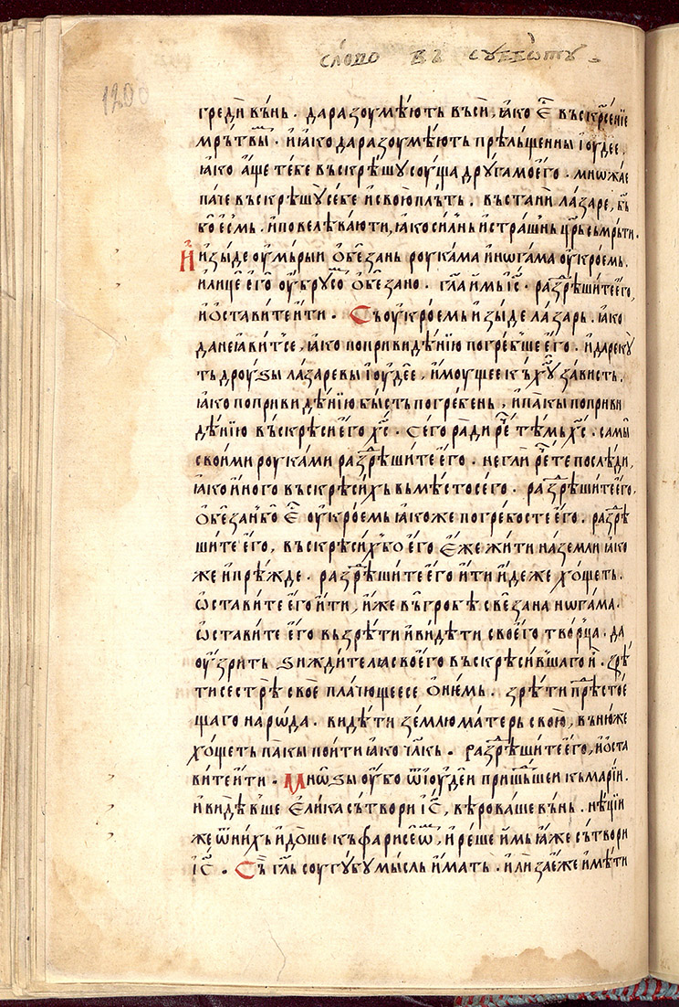 SR000243.JPG slide