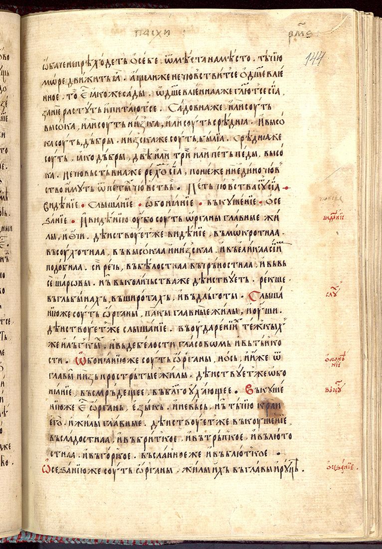 SR000290.JPG slide