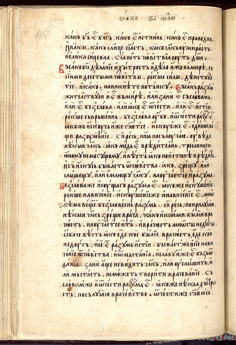 SR000295.JPG slide