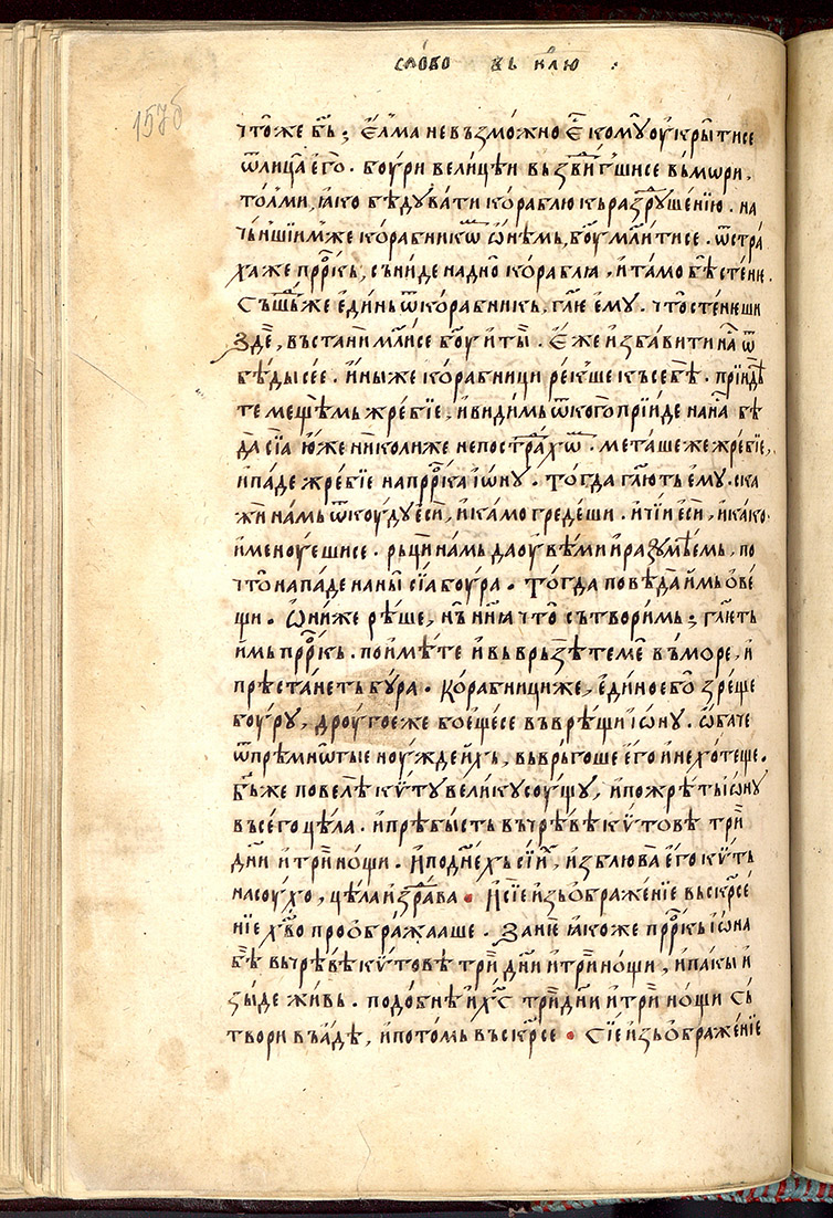 SR000317.JPG slide