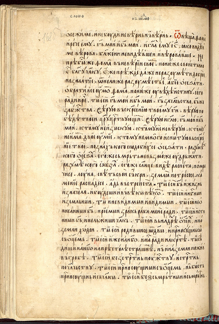 SR000339.JPG slide