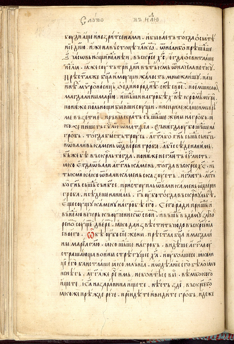 SR000353.JPG slide