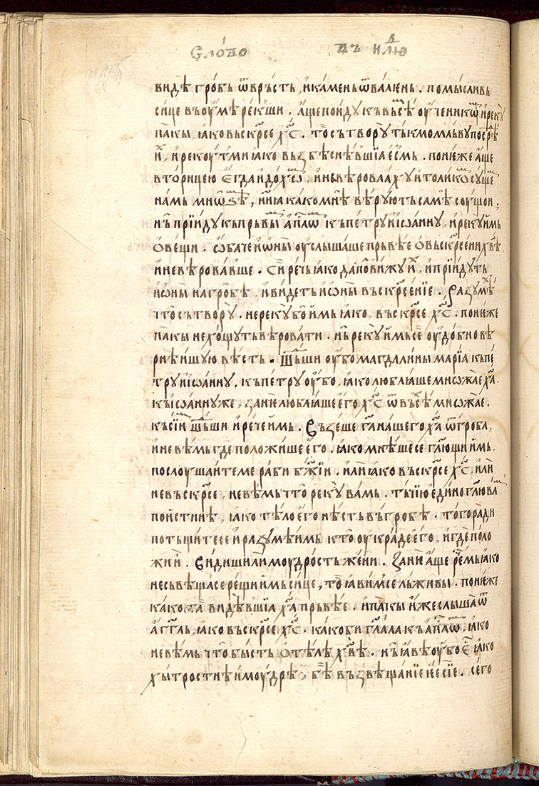 SR000357.JPG slide