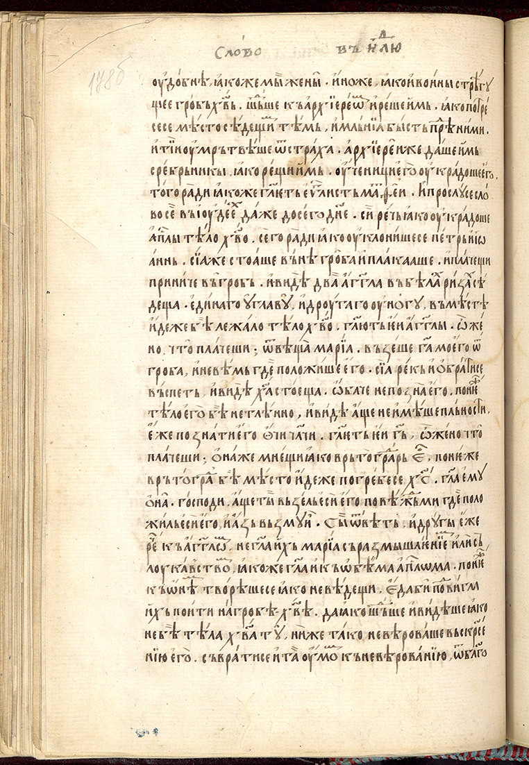 SR000359.JPG slide