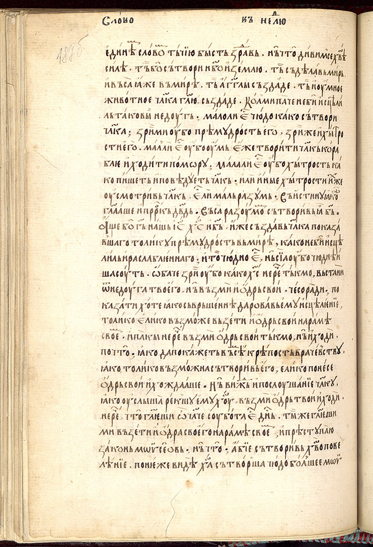 SR000377.JPG slide