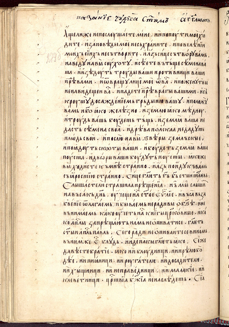 SR000561.JPG slide