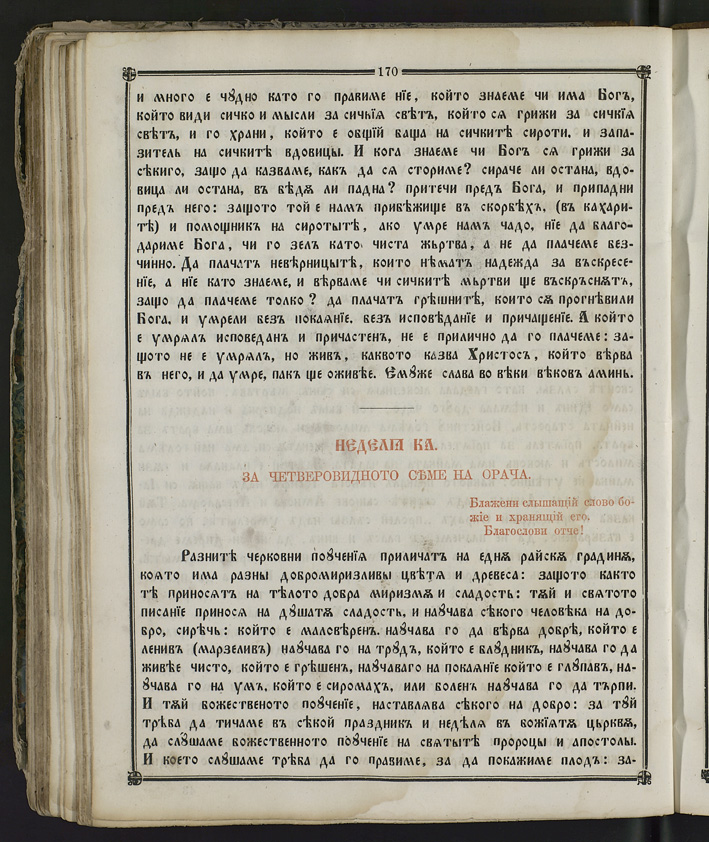 SK000185.JPG slide