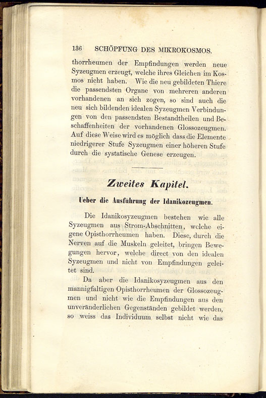 SK000153.JPG slide